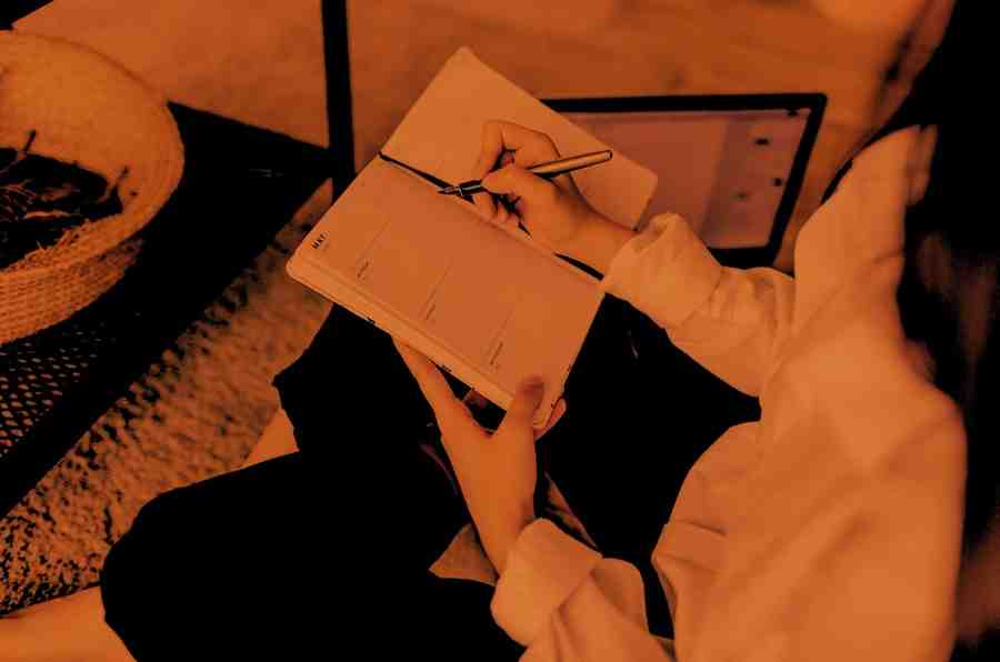 Academic writer offering Turnitin plagiarism support for thesis