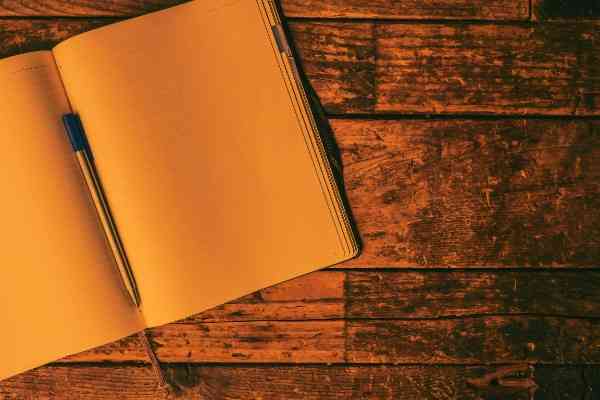 student receiving clinical thesis writing help using SPSS and reference books